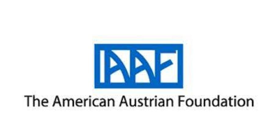 American Austrian Foundation Logo Image
